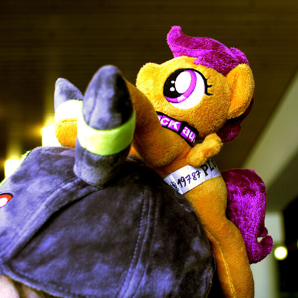 Scootaloo has the perfect colour scheme for a pony (or dragon), winged or otherwise)_