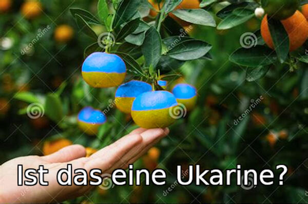 Eine Hand zeigt präsentierend auf an einem Strauch oder Baum hängende Früchte, die wie Mandarinen aussehen, aber blau und gelb sind (die obere Hälfte blau, die untere Hälfte gelb, wie die Ukrainische Flagge). Darunter steht "Ist das eine Ukarine?"