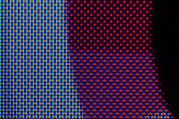 Macro Pictures-4.jpg (image/jpeg, 301916 B)